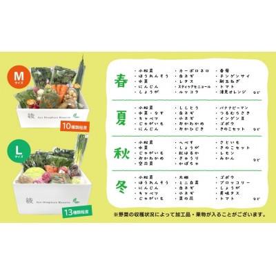 ふるさと納税 綾町 【毎月定期便】綾町旬野菜ギフト Lサイズ全6回 |  | 02