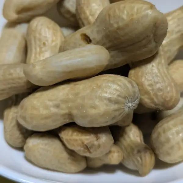 秦野の特産　生落花生　おおまさり　約1,000g from 名水の里　秦野　012-31