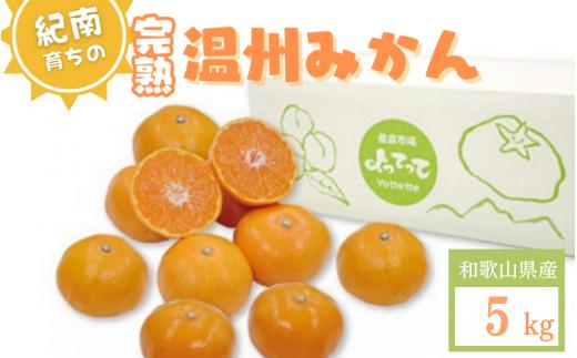 【先行予約】紀南育ちの完熟温州みかん  5㎏※11月下旬～12月頃に順次発送予定【期間限定:2025/11/30まで】/ 田辺市 よってって みかん 温州みかん 完熟温州みかん【prs005】