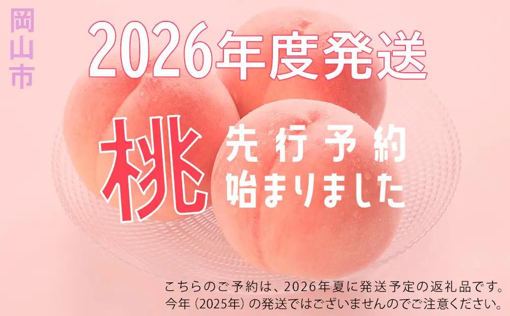 2026年  岡山の 白 桃   大玉3玉（晩生種）（1玉約300g） ｜ 桃