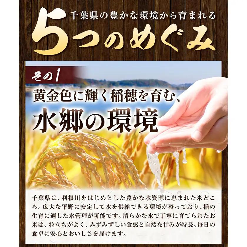 米 千葉めぐみ米 10kg 千葉県産