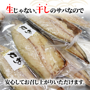 塩 サバ 干し フィレ 片身 8枚 小分け 個包装 フィーレ しお 鯖 干物 ひもの 返礼品 グルメ 魚介 冷凍 おかず 弁当 焼き魚 海鮮 さかな 京都 伊根