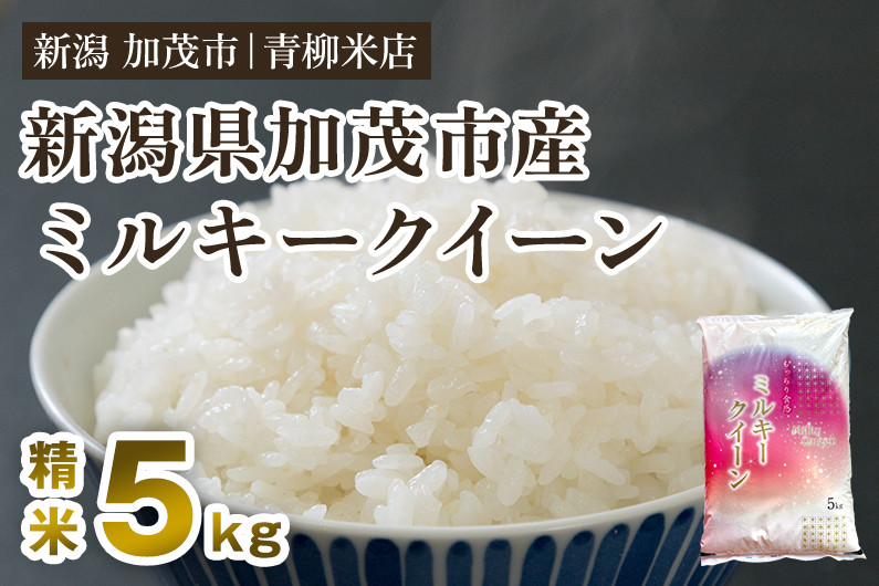 
【令和6年産新米先行予約】新潟県央地区 ミルキークイーン 精米5kg 新潟米 新潟産 お米 白米 加茂市 青柳米店
