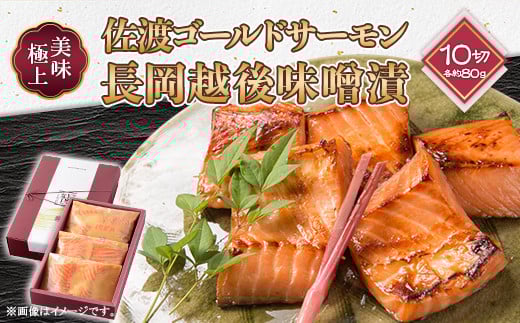
            66-18美味極上　佐渡ゴールドサーモンの長岡越後味噌漬 10切入
          