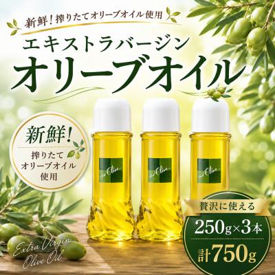 ふるさと納税 藤沢市 【エキストラバージン】オリーブオイル 250g × 3本 計 750g