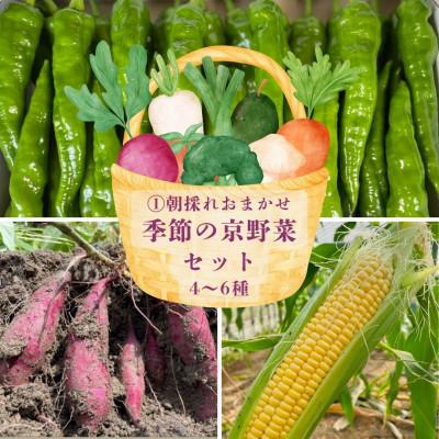 ふるさと納税 南丹市 【京都丹波より旬をお届け】朝採れお任せ季節の京野菜&お米2キロセット〜農家直送〜 |  | 01