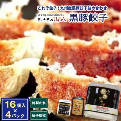 ふるさと納税 福津市 これぞ餃子!九州産黒豚餃子詰め合わせ(福津の極み認定製品)&amp;自家製柚子胡椒[H3211]