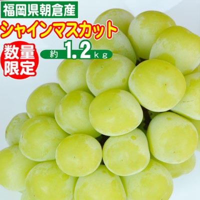 【ふるさと納税】2025年8月15日迄受付 シャインマスカット 2～4房 約1.2kg 数量限定 オンライン決済限定 ぶどう 栽培期間中 JAS認証肥料 減農薬 皮ごと 爽やか 糖度 白ブドウ 　お届け：2026年9月上旬～9月末