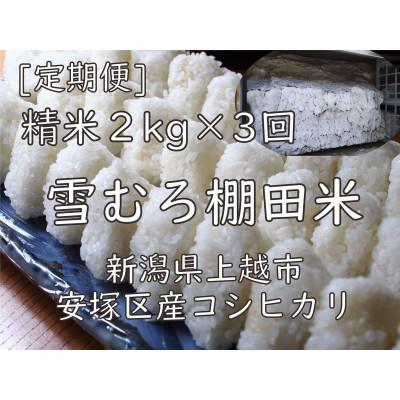 ふるさと納税 上越市 【毎月定期便】雪むろ棚田米コシヒカリ 2kg 精米〈新潟県上越市安塚区産〉全3回