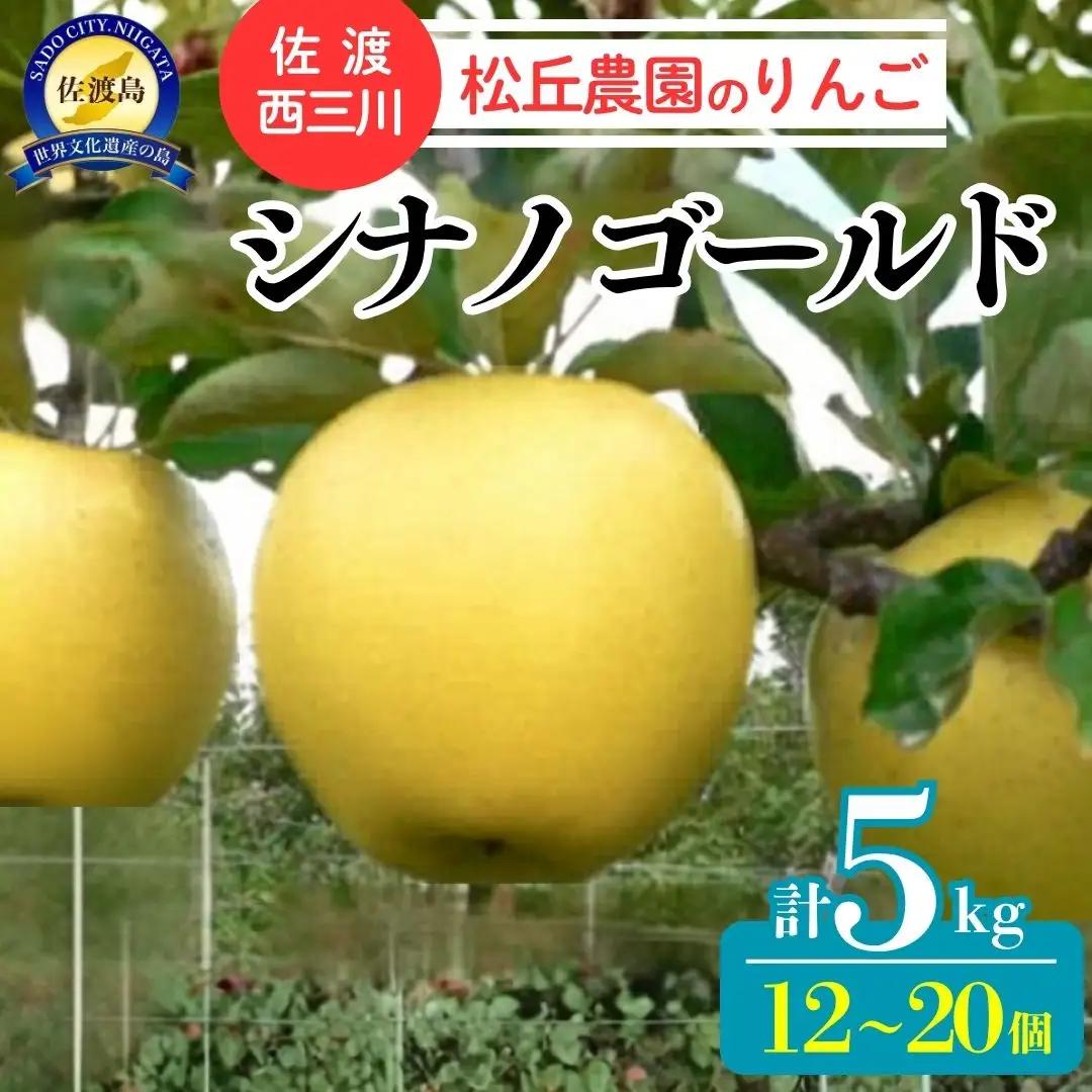 りんご シナノゴールド 5kg 10月上旬以降発送| 新潟県 佐渡市 松丘農園 りんご
