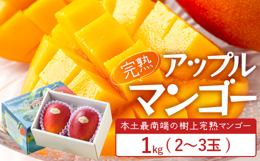 太陽をたっぷり浴び濃厚な甘さ！南国の香りが漂う【本土最南端南大隅町産マンゴー】 【先行予約】☆本土最南端☆佐多の果樹園で育てた 完熟アップルマンゴー 1kg (2～3玉) 【2026年7月上旬以降順次