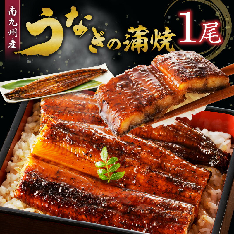 【ふるさと納税】うなぎ 蒲焼き 1尾 約170g こだわり 製法 皮 パリッと 身 ジューシー 真空パック うなぎ本来 食感 甘み 香り タレ 湯煎 電子レンジ 簡単調理 冷凍 国産 食品 加工品 うな丼 うな重 ひつまぶし おつまみ 贈り物 お取り寄せ 福岡県 久留米市 送料無料
