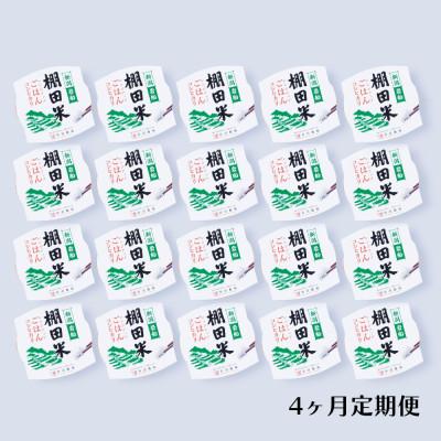 ふるさと納税 村上市 【毎月定期便】新潟県村上市岩船産 棚田米コシヒカリのパックごはん 20個 [137]全4回