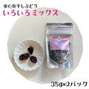 【ふるさと納税】安心院干しぶどういろいろミックス(計70g・35g×2袋)ドライフルーツ 葡萄 ぶどう 果物 くだもの フルーツ 乾燥 小分け ミックス 大分県産【100701200】【宮田ファミリーぶどう園】