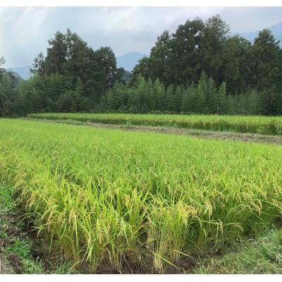 ふるさと納税 五條市 生命の農法(栽培期間中化学農薬・化学肥料不使用栽培)お米(5kg)七分米 |  | 01