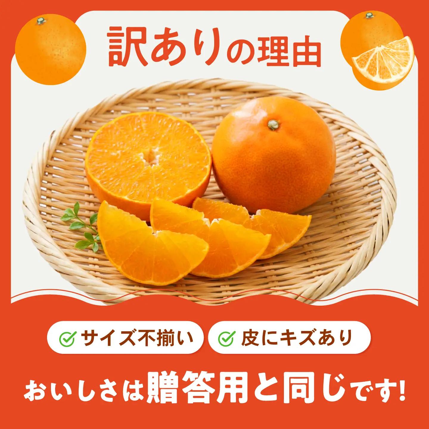 みかん 訳あり 愛果28号 約1kg サイズ不揃い【12月中旬から翌年1月中旬まで順次発送】 / フルーツ 果物 蜜柑 ミカン オレンジ 訳あり 訳アリ 小玉 甘い 先行予約 1kg 愛媛 / 愛媛県