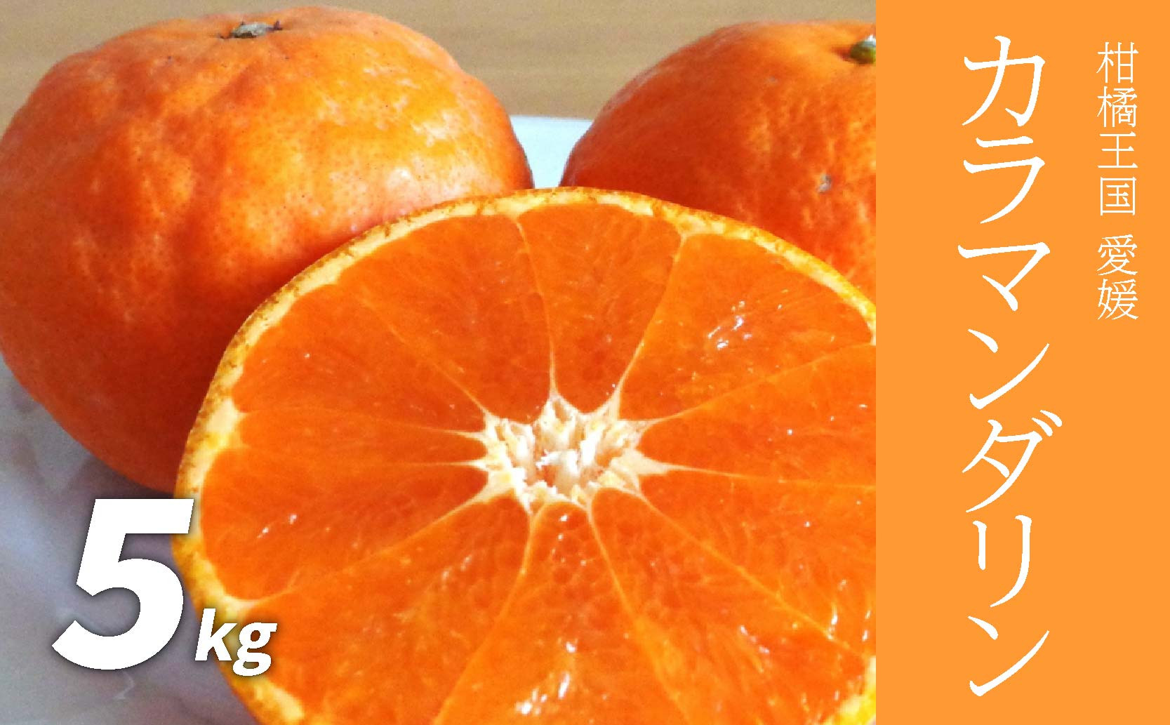 
            【先行予約】カラマンダリン 5kg （ 愛媛産 愛媛県産 国産 愛媛みかん 愛媛蜜柑 愛媛ミカン みかん ミカン mikan 蜜柑 柑橘 フルーツ 果物 くだもの 高級 お取り寄せ 産地直送 数量限定 人気 おすすめ 愛媛県 松山市 送料無料  ）
          
