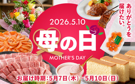 【母の日】「黒髭珈琲」バスクチーズケーキ3種詰合せ8個セット≪5月7日～10日お届け≫_11-9901-MG_(都城市) バスクチーズケーキ プレーン 抹茶 モカ クリームチーズ 個包装 母の日 ギフ