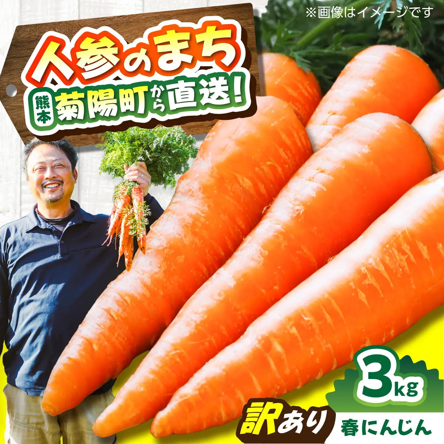訳あり菊陽春にんじん 3kg にんじん BHDH004