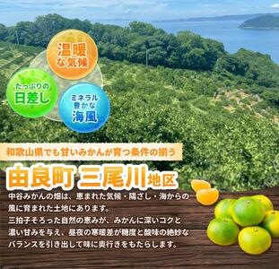 ゆら早生みかん 10kg 2S～2Lサイズ混合 ※2026年10月中旬頃～10月下旬頃に順次発送予定 【nktn003-r-10】 