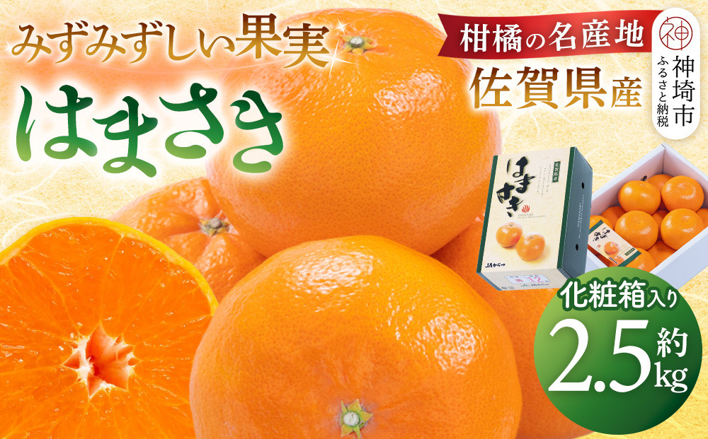 
            【先行受付 令和7年2月より発送】佐賀県産柑橘『はまさき』約2500g【化粧箱入り】【果物 フルーツ 柑橘 みかん デザート 贈答 ふるさと納税】(H108108)
          