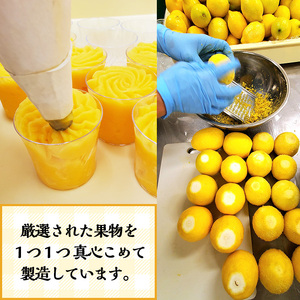 先行予約＜数量・期間限定＞9種の手作りフルーツシャーベット12個セット！暑い日に嬉しいフルーツシャーベットセット♪シャーベット アイス スイーツ お菓子【数量限定】【A-1893H】