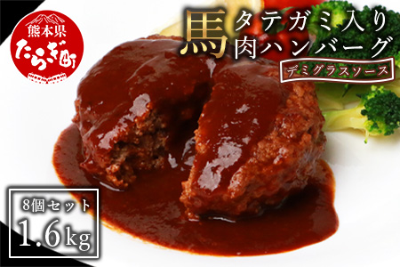 FN タテガミ 入り 馬肉 ハンバーグ デミソース 計1.6kg (200g×8個セット) 個包装 冷凍 お手軽 おかず 031-0203