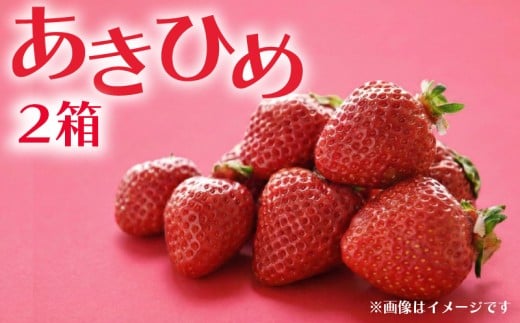 【先行予約】 数量限定 いちご 350g 2箱 あきひめ 完熟 贈答 贈答用 イチゴ 苺 章姫 果物 スイーツ デザート フルーツ くだもの ベリー 甘い オススメ 人気 ichigo strawberry itigo 滋賀県 竜王町 ひさだ苺農園