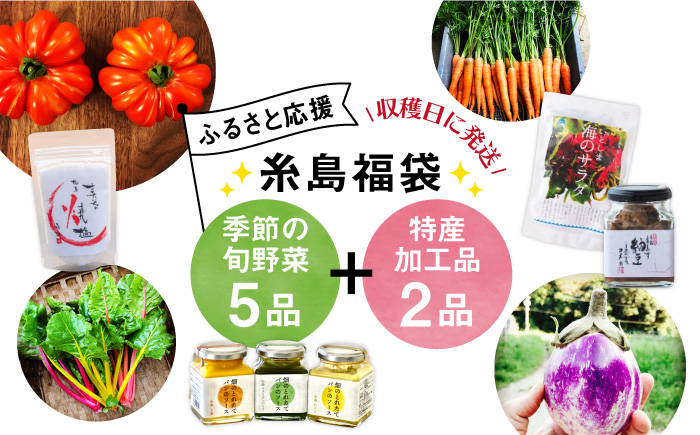 朝採り季節のオーガニック旬野菜お任せ5品＋糸島産の大ヒット特産加工品2品の計7品セット [AGE028]
