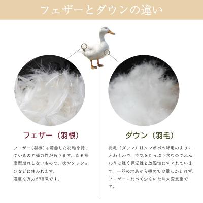 ふるさと納税 明和町  DUCKUP 【高島屋 選定品】 ひざ掛け グリーン |  | 03