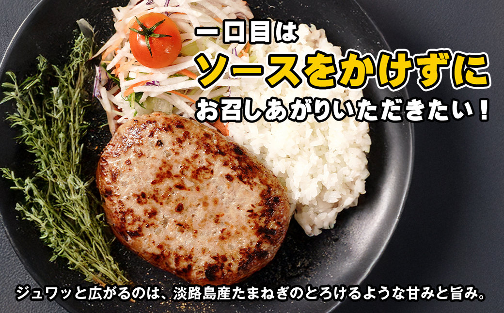 淡路島たまねぎのびっくり旨みハンバーグ 200g×52個 ※13個入×4箱