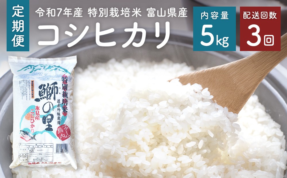 
                  【3回定期便】〈令和7年産 特別栽培米〉 富山県産 コシヒカリ 鰤の里 白米 5kg | 富山県 氷見市
                