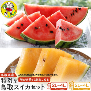 【先行予約】旬の味覚を2度楽しめる、特別な鳥取スイカセット（こちらの返礼品は、大栄西瓜ではありません）【西瓜 すいか すいか 果物 くだもの フルーツ】