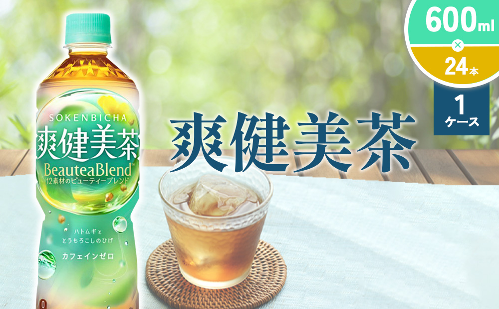 爽健美茶 600ml PET【コカ・コーラ】ペットボトル 1ケース(24本)  セット お茶 カフェインゼロ ノンカフェイン ハトムギ ブレンド茶 宮崎県 えびの市 送料無料