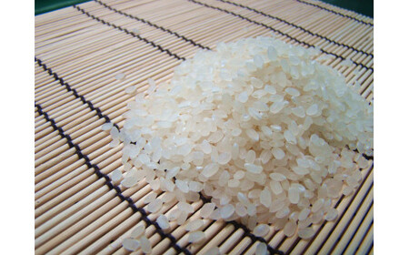 令和7年産 コシヒカリ 「聖米」白米 5kg