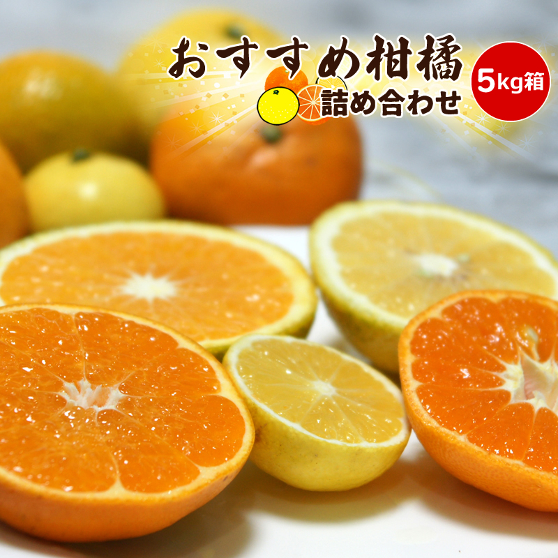 91-2942　【先行予約】4月おすすめ柑橘詰め合わせ５kg箱＜出荷開始：2025年4月5日~4月30日＞【 フルーツ 神奈川県 小田原市 】