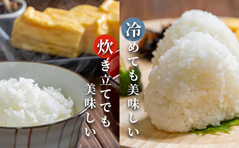 【2026年産新米】 ★先行予約★北海道産 特別栽培米 ゆめぴりか 5kg （無化学肥料・農薬不使用） ｜ お米 米 精米 安心 安全 北海道米 ゆめぴりか ご飯 農薬不使用 北海道 羽幌町 ふるさと