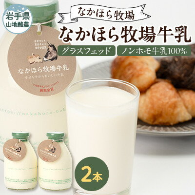 【ふるさと納税】【毎月定期便】なかほら牧場牛乳〔500 ml〕2本セット全6回【配送不可地域：離島】【4075351】