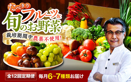 【全12回定期便】野菜×フルーツセット（6-7種）少量食べきりセット　 野菜 果物 やさい 少量セット[AGBX050]