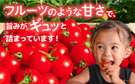 トマト フルティカ 2kg (1kg×2箱) 糸島市 / かわぞえ農園 [AAM006] トマト フルーツトマト