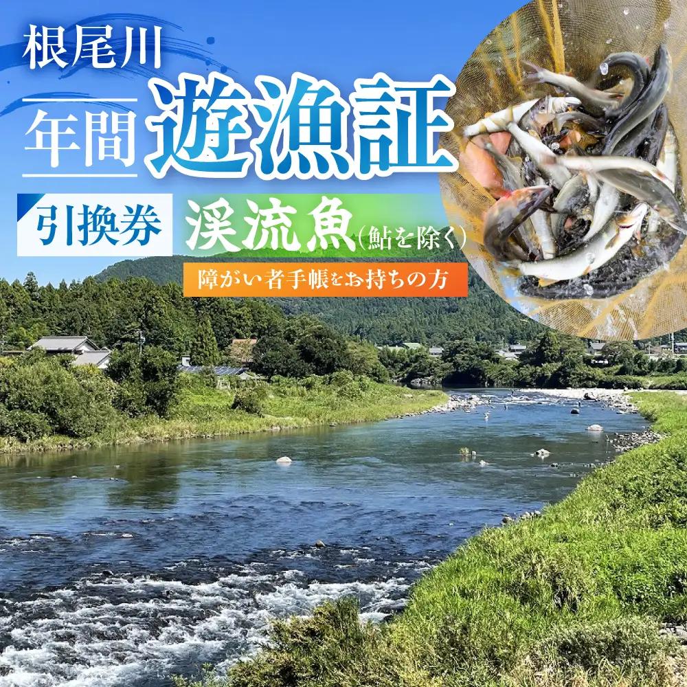 【障がい者手帳をお持ちの方　渓流魚（鮎を除く）年間遊漁証引換券（令和８年シーズン用）】 釣り 渓流魚 魚 さかな釣り 魚釣り 年間遊漁証引換券 年券 チケット 引換券 根尾川筋漁業協同組