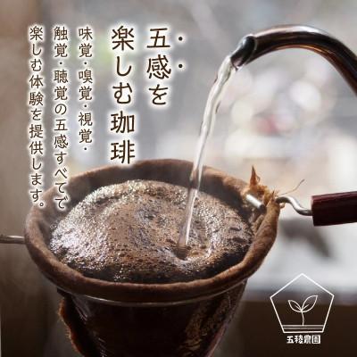 ふるさと納税 南九州市 五稜農園自家焙煎 キリマンジャロ コーヒー豆100g×5袋セット 香り豊かな本格珈琲 |  | 01