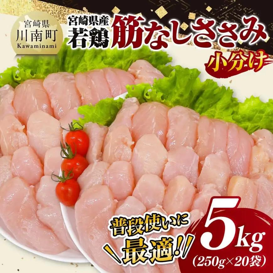 宮崎県産若鶏筋なしささみ5kg（250g×20） 真空 国産 鶏肉 ササミ 小分け