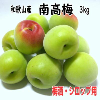 ふるさと納税 御坊市 青梅(紀州南高梅) 3kg【梅酒用・梅シロップ用】 2L/3Lサイズ(簡単レシピ付き)