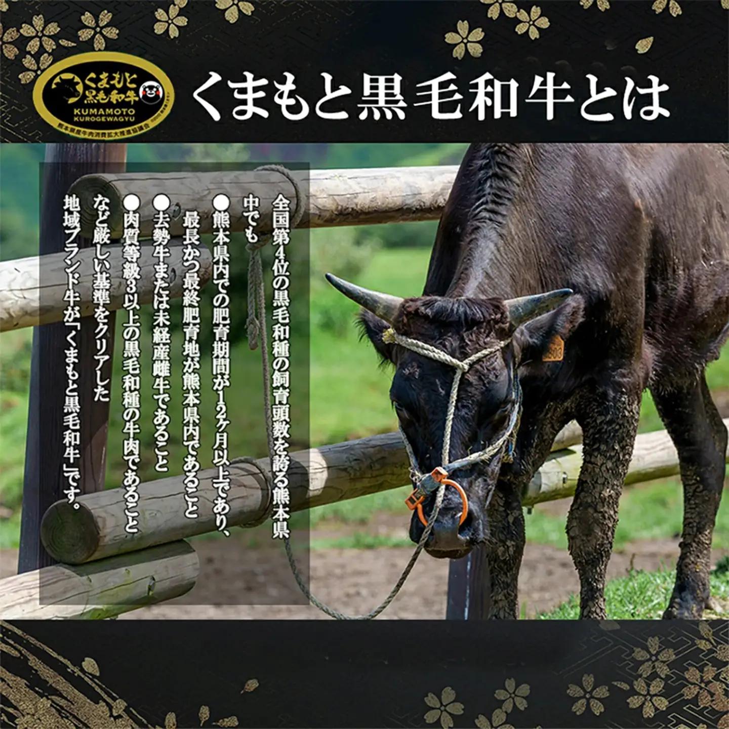 【ワイエスフード】くまもと黒毛和牛 訳あり 切り落とし 400g 1パック 焼肉 BBQ 焼きしゃぶ 和牛 国産 日本産 熊本県産 赤身 ロース、バラ、モモ、ウデ ミックス 旨み 小分け ご馳走 ご自