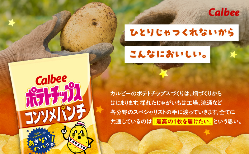 カルビー ポテトチップス【コンソメパンチ】16袋　K194-002_05