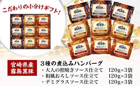 【お中元】霧島黒豚 3種の煮込みハンバーグギフト (デミグラスソース仕立て・和風おろしソース仕立て・大人の照焼きソース仕立て)_AA-2804-SG_(都城市) 霧島黒豚 煮込みハンバーグ デミグラス