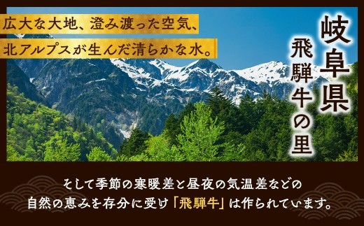 【3ヵ月定期便】飛騨牛 ローススライス（すきやき・しゃぶしゃぶ用）約500g×3（1.5kg）