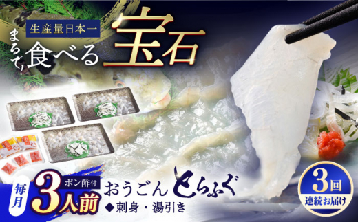 【全3回定期便】活〆おうごんとらふぐ 刺身 セット（3人前） 平戸市 / 松永水産 [KAB276]おうごんとらふぐ 刺身 通販 お取り寄せ 長崎 高級魚 海鮮 グルメ ごちそう トラフグ ふぐ