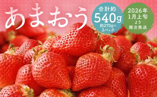 福岡県産 あまおう 合計約540g 約270g×2パック 【2026年1月上旬～1月下旬迄発送】